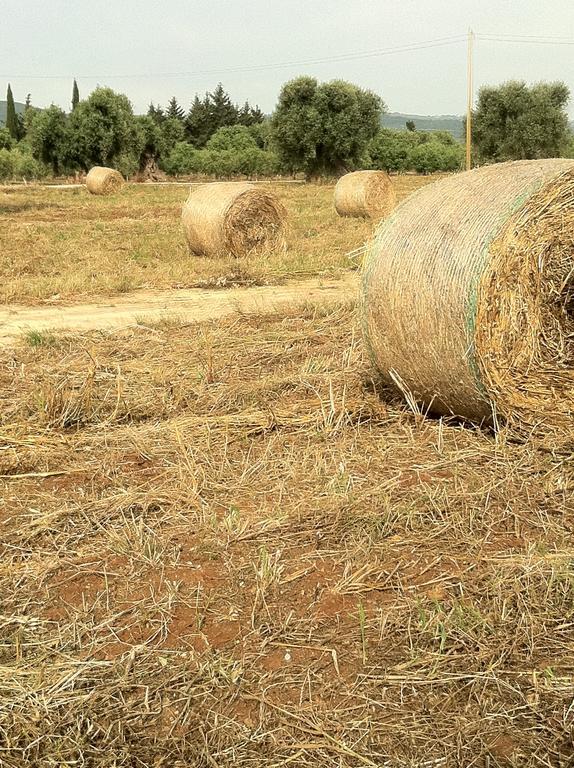 Masseria Torremossa Fasano Eksteriør billede