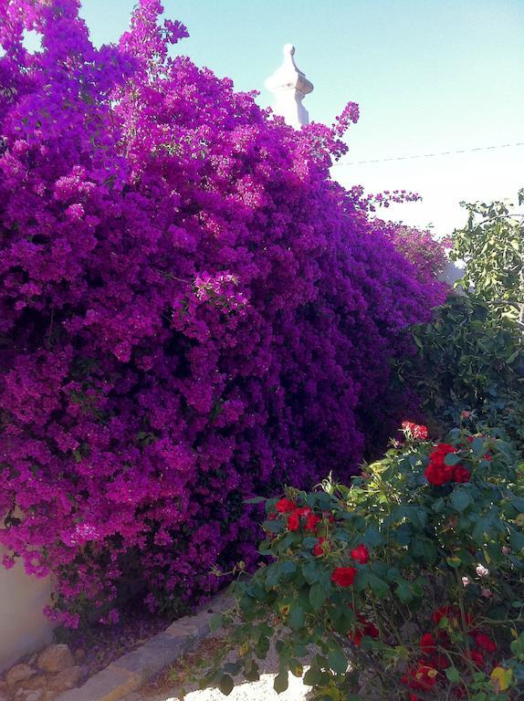 Masseria Torremossa Fasano Eksteriør billede